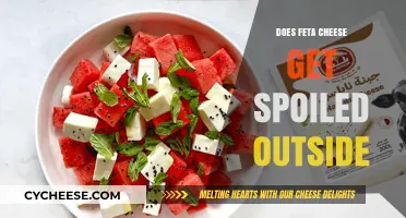 Feta Cheese: Safe Left Out or Spoiled?