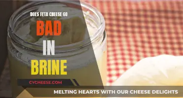 Feta Cheese and Brine: How Long Does It Last?