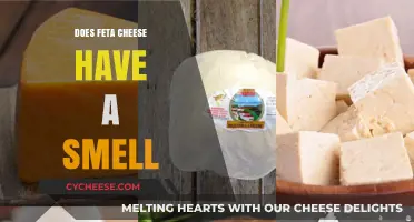 Feta Cheese: Does It Smell or Not?