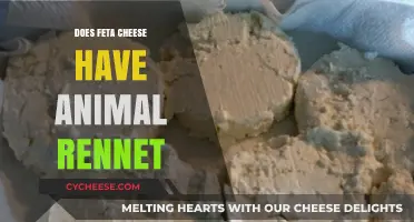 Feta Cheese and Animal Rennet: What's the Link?