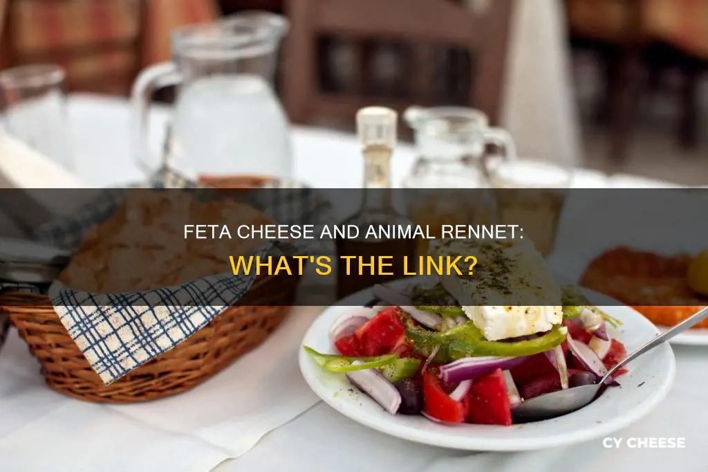 does feta cheese have animal rennet