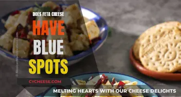 Feta Cheese: Blue Spots and Their Causes Explained