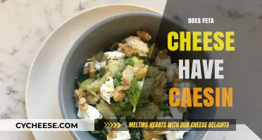 Feta Cheese and Its Casein Content