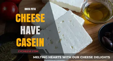 Feta Cheese and Casein: What You Need to Know