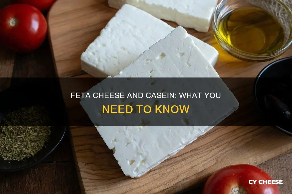 does feta cheese have casein