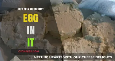 Feta Cheese: Does It Contain Eggs?