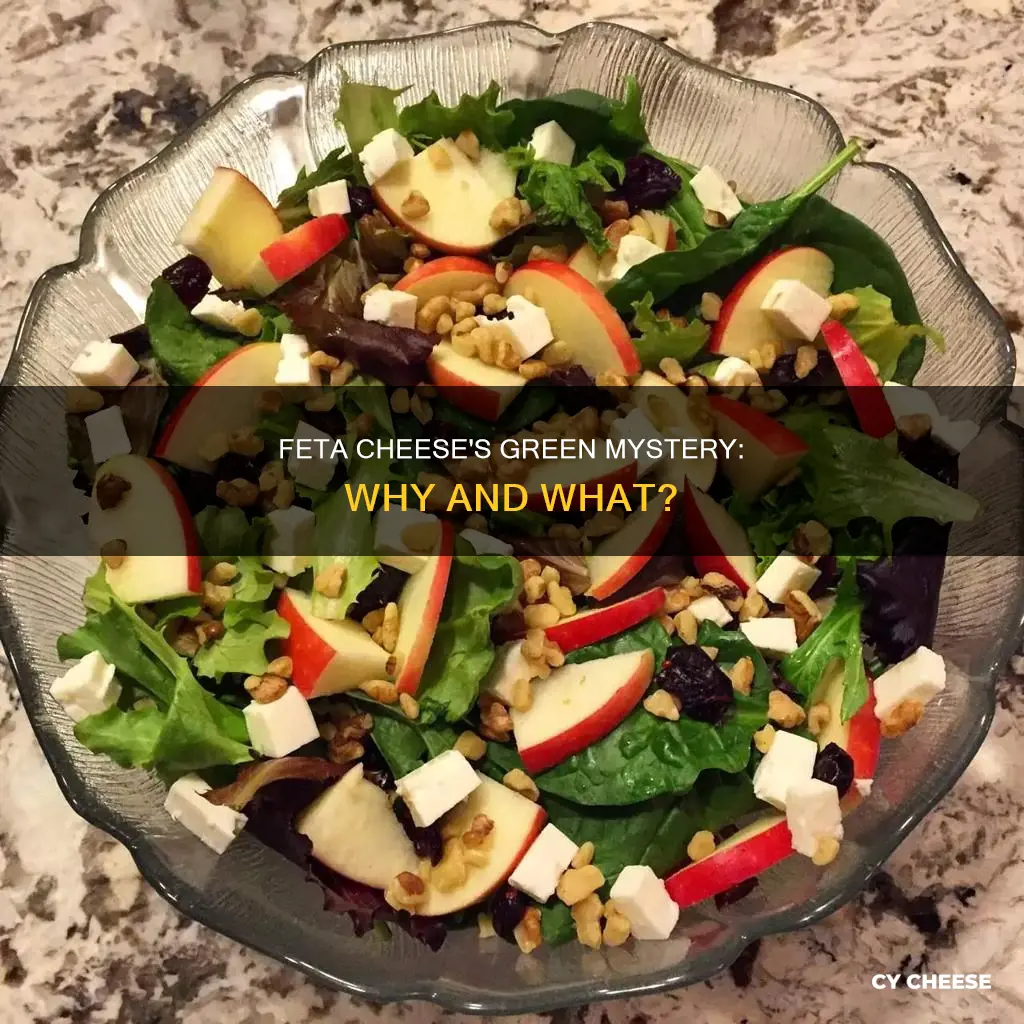 does feta cheese have green