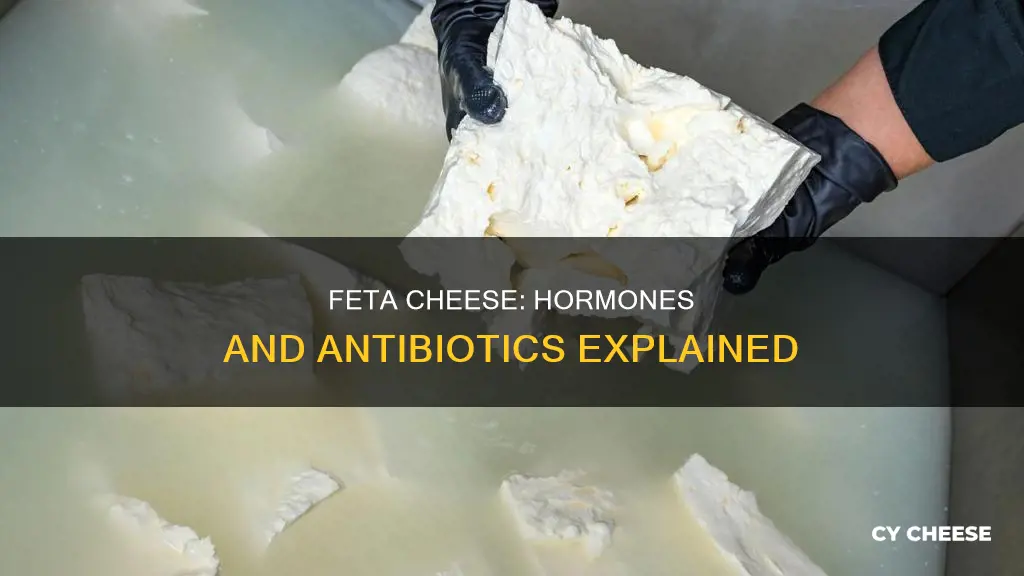 does feta cheese have hormones and antibiotics