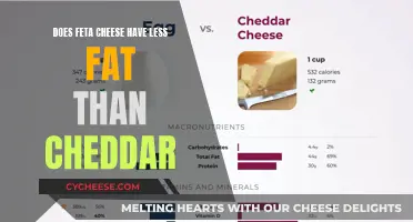 Feta vs. Cheddar: Unveiling the Fat Difference