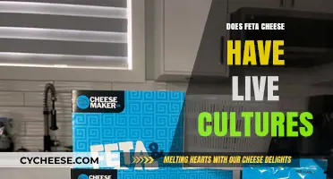 Feta Cheese: Live Cultures and Health Benefits