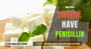 Feta Cheese and Penicillin: What's the Connection?