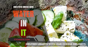 Feta Cheese: Does It Contain Water?