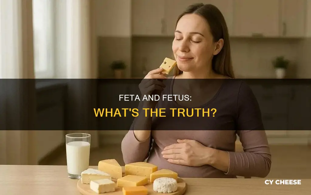 does feta cheese hurt a fetus