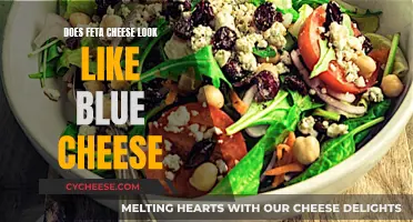 Feta and Blue Cheese: Similarities and Differences