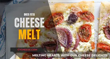 Feta Cheese Melting: The Ultimate Guide