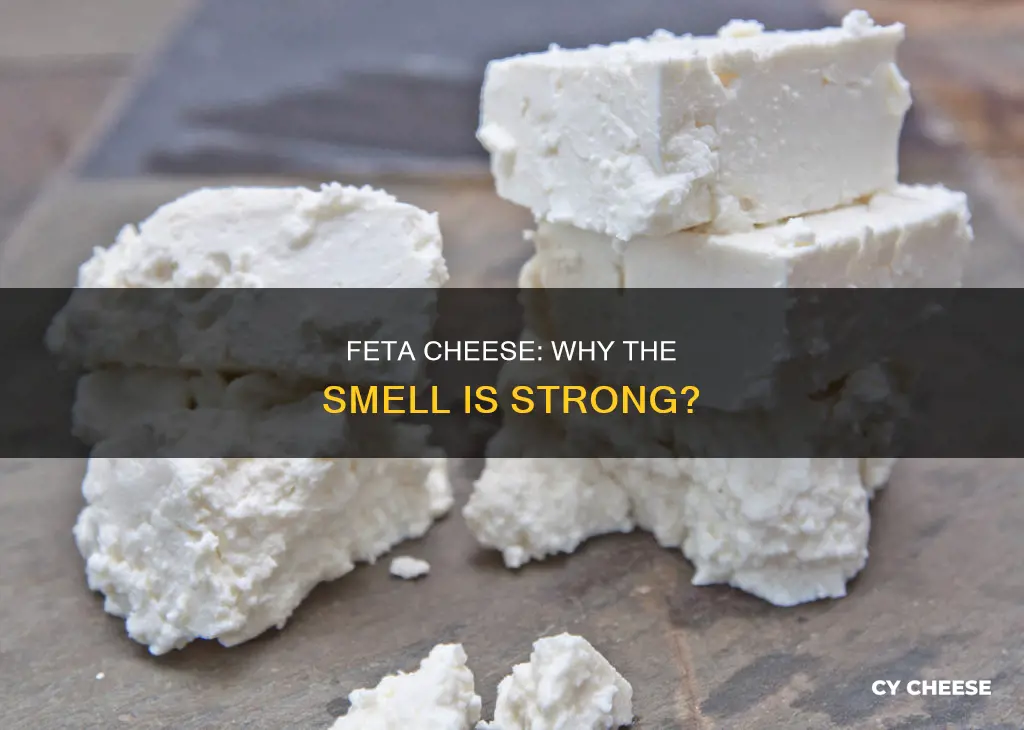 does feta cheese smell bad