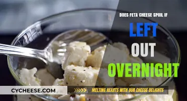 Feta Cheese Left Out: Safe or Not?