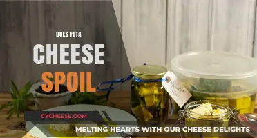 Feta Cheese: Does it Spoil?
