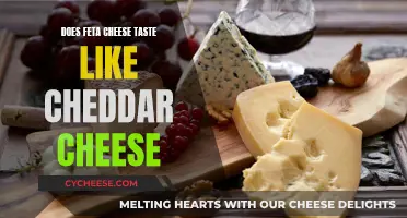 Feta vs. Cheddar: Unveiling the Flavorful Differences