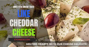 Feta and Cheddar: A Taste Comparison