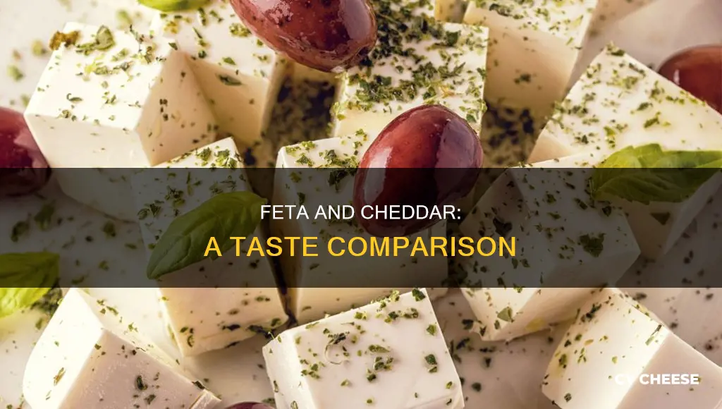 does feta cheese taste like cheddar cheese