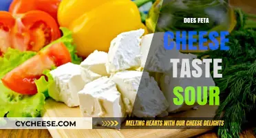 Feta Cheese: Why Does It Taste Sour?