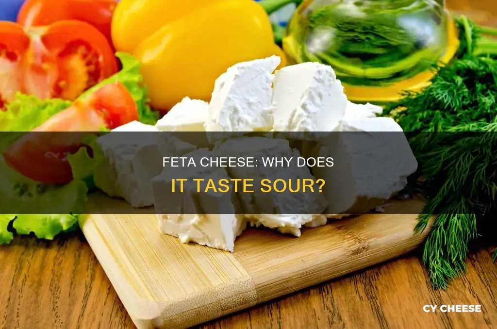 does feta cheese taste sour
