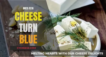 Feta Cheese Turning Blue: What Does It Mean?