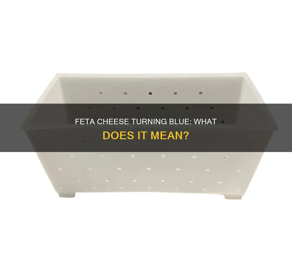 does feta cheese turn blue