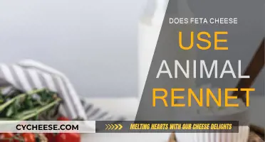 Feta Cheese: Rennet's Animal Source