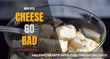 How Long Does Feta Cheese Last?