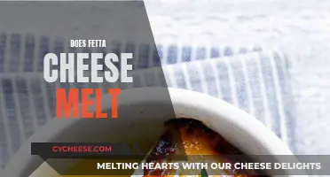 Fetta Cheese Melting: Is It Possible?