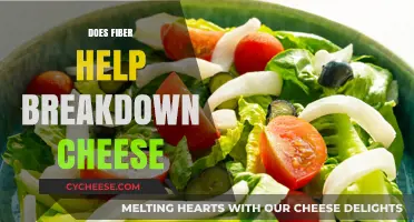 Can Fiber Aid in Digesting Cheese? Exploring the Gut Connection