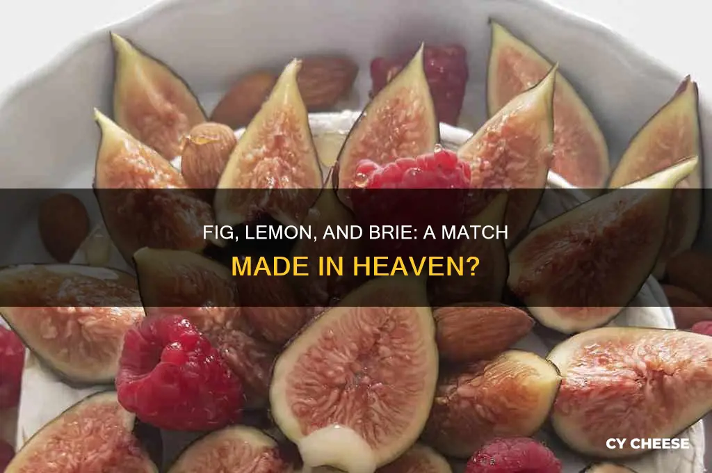 does fig and lemon jelly taste good with brie cheese