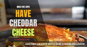 Cheddar Cheese at Five Guys: What's the Deal?