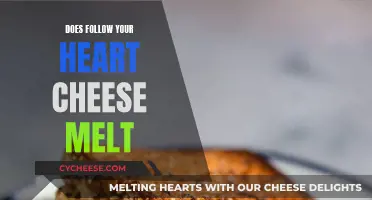 Melting Moments: Does Follow Your Heart Cheese Melt?