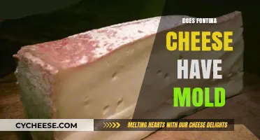 Does Fontina Cheese Have Mold? Uncovering the Truth About Its Texture