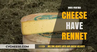 Does Fontina Cheese Contain Rennet? A Detailed Explanation
