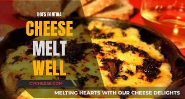 Fontina Cheese Melting: The Ultimate Guide to Fontina