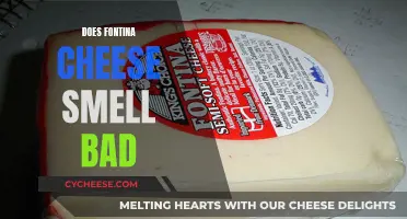Fontina Cheese: Why the Smell is Strong