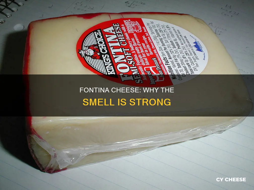 does fontina cheese smell bad
