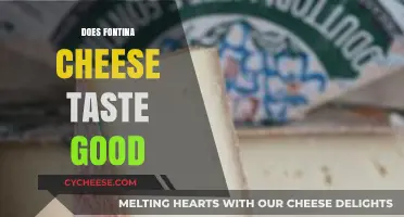 Fontina Cheese: Delicious or Disgusting?