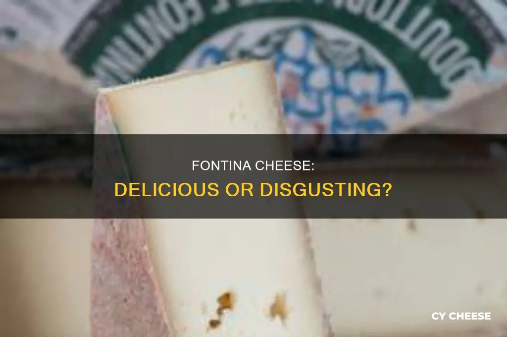 does fontina cheese taste good