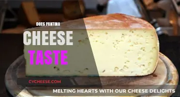 Exploring Fontina Cheese: Flavor Profile, Texture, and Culinary Uses