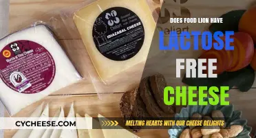 Lactose-Free Cheese: Is It Available at Food Lion?