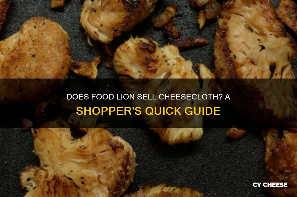 does foodlion sell cheese vloth