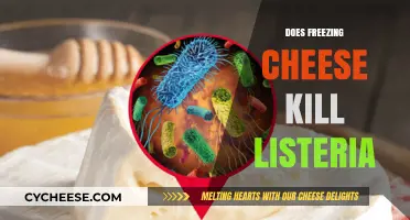 Freezing Cheese: Effective Method to Eliminate Listeria Risk?
