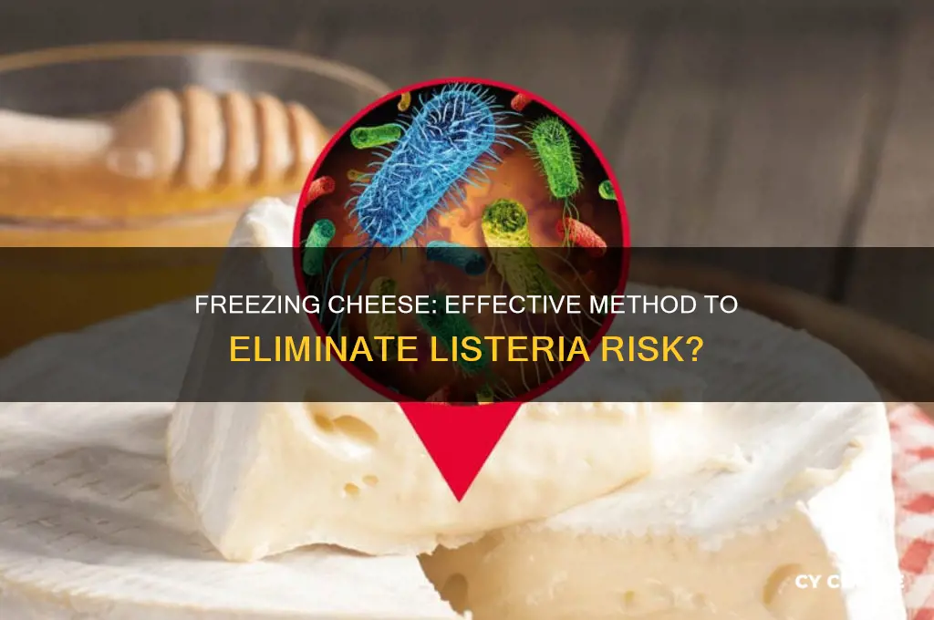 does freezing cheese kill listeria