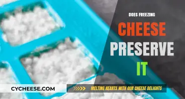 Freezing Cheese: Effective Preservation Method or Quality Compromise?