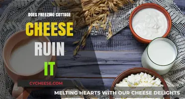 Freezing Cottage Cheese: Does It Ruin Texture and Flavor?